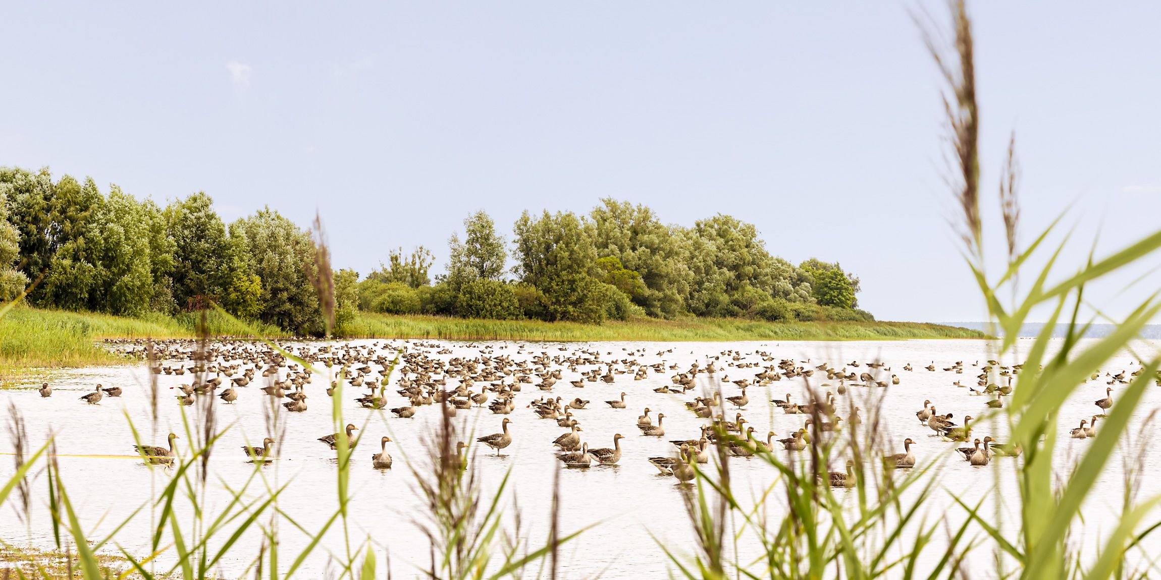 Die Umgebung Traumblick Müritz